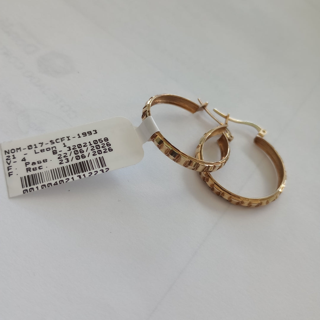 ARRACADAS PAR ORO 10 K 2 GRMS (SEMINUEVO)