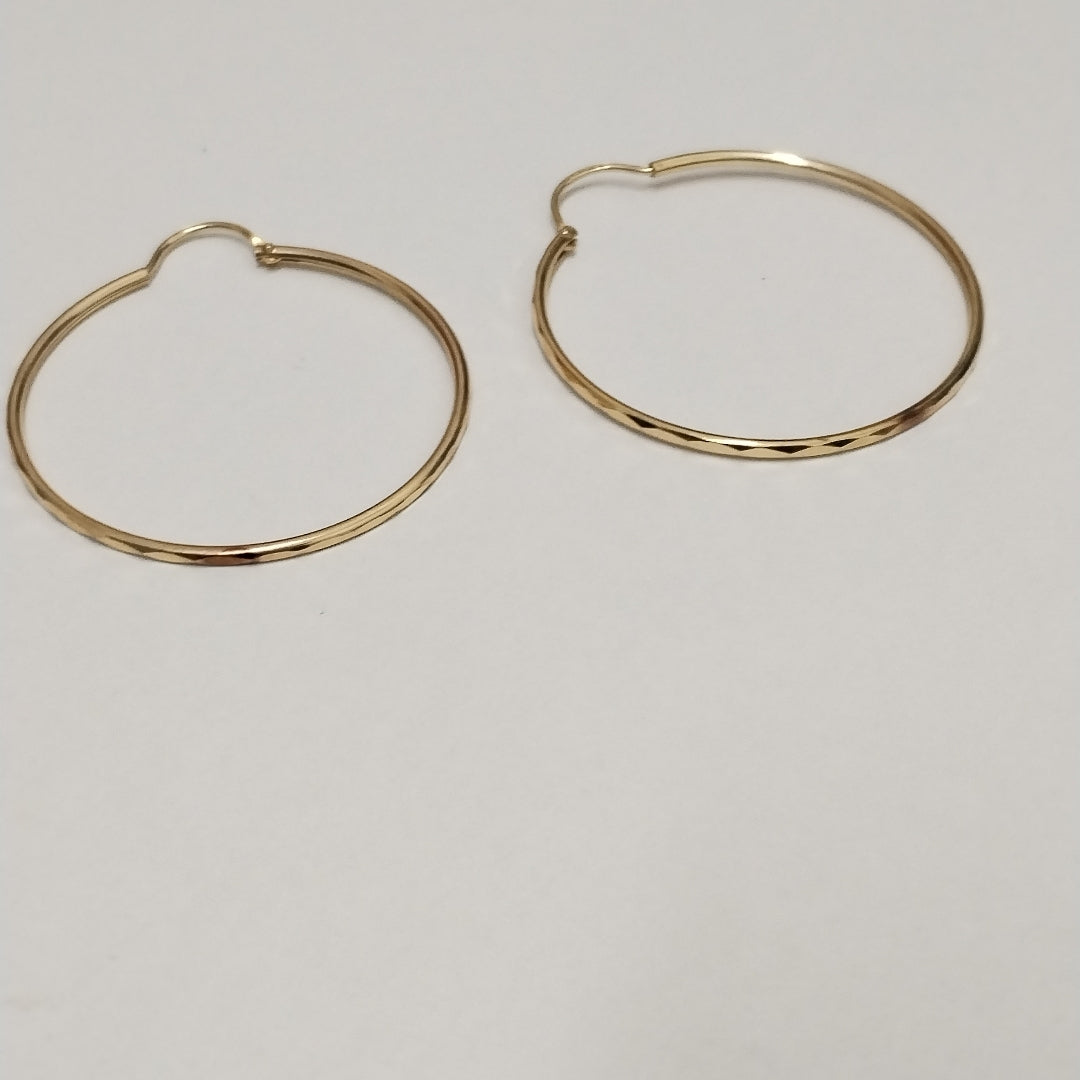 ARRACADAS PAR ORO 10 K 2 GRMS (SEMINUEVO)