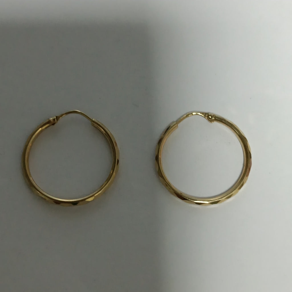 ARRACADAS PAR ORO 10 K 0.9 GRMS (SEMINUEVO)
