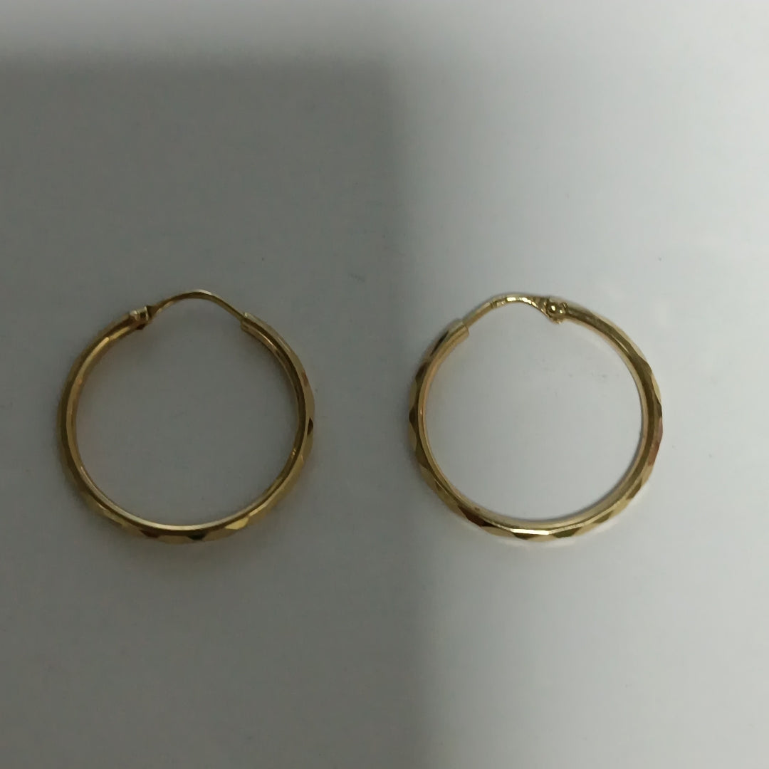 ARRACADAS PAR ORO 10 K 0.9 GRMS (SEMINUEVO)