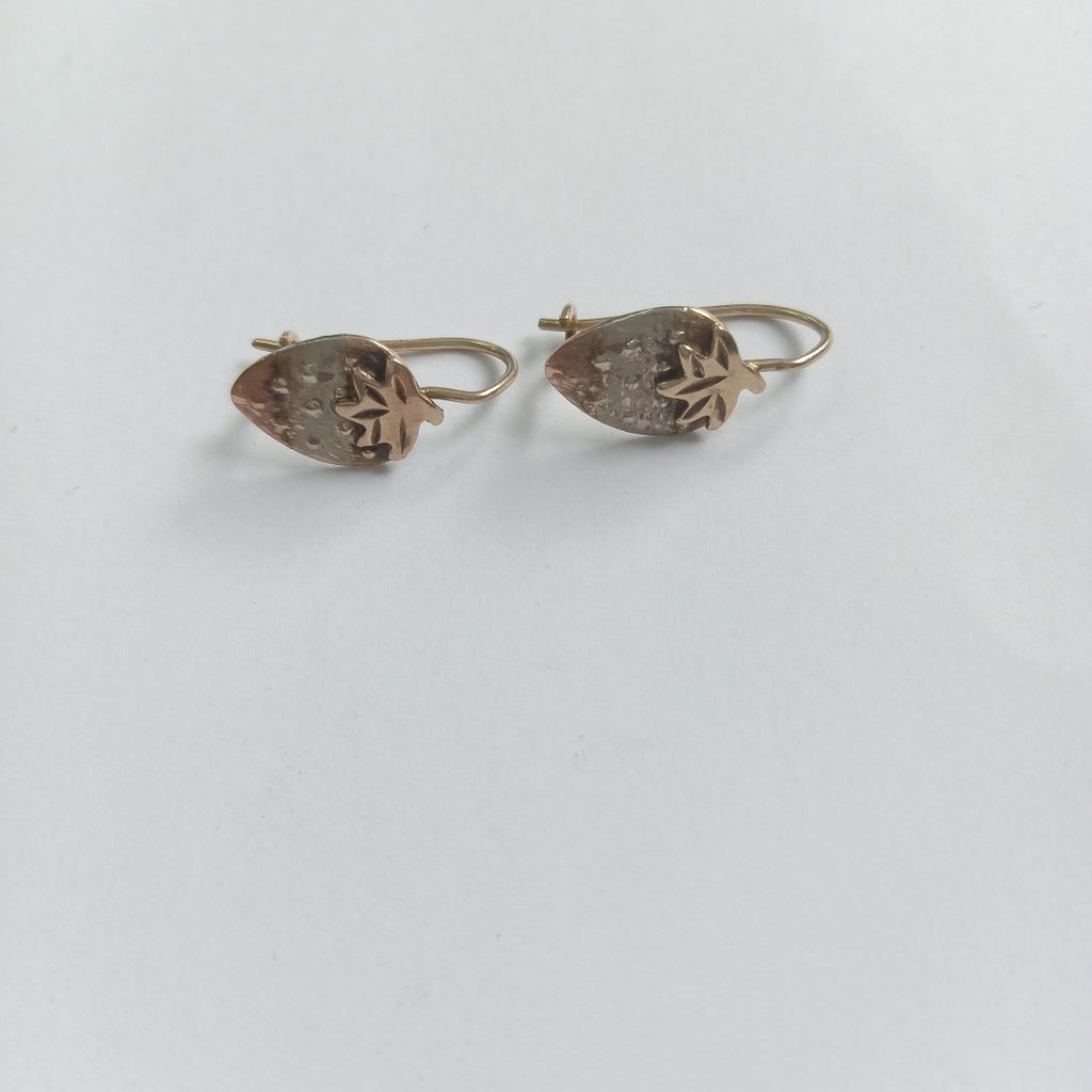 ARETES PAR ORO 10 K 1,80 GRMS (SEMINUEVO)