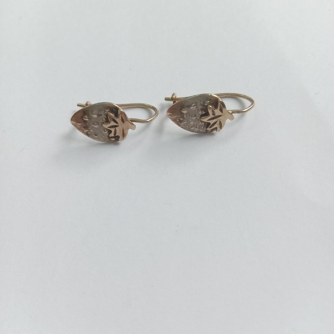 ARETES PAR ORO 10 K 1,80 GRMS (SEMINUEVO)