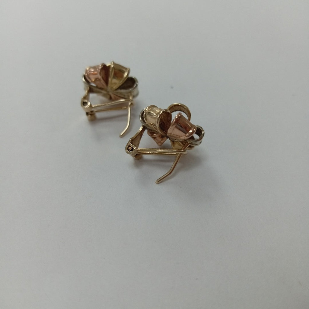 ARETES PAR ORO 10 K 2.9 GRMS (SEMINUEVO)