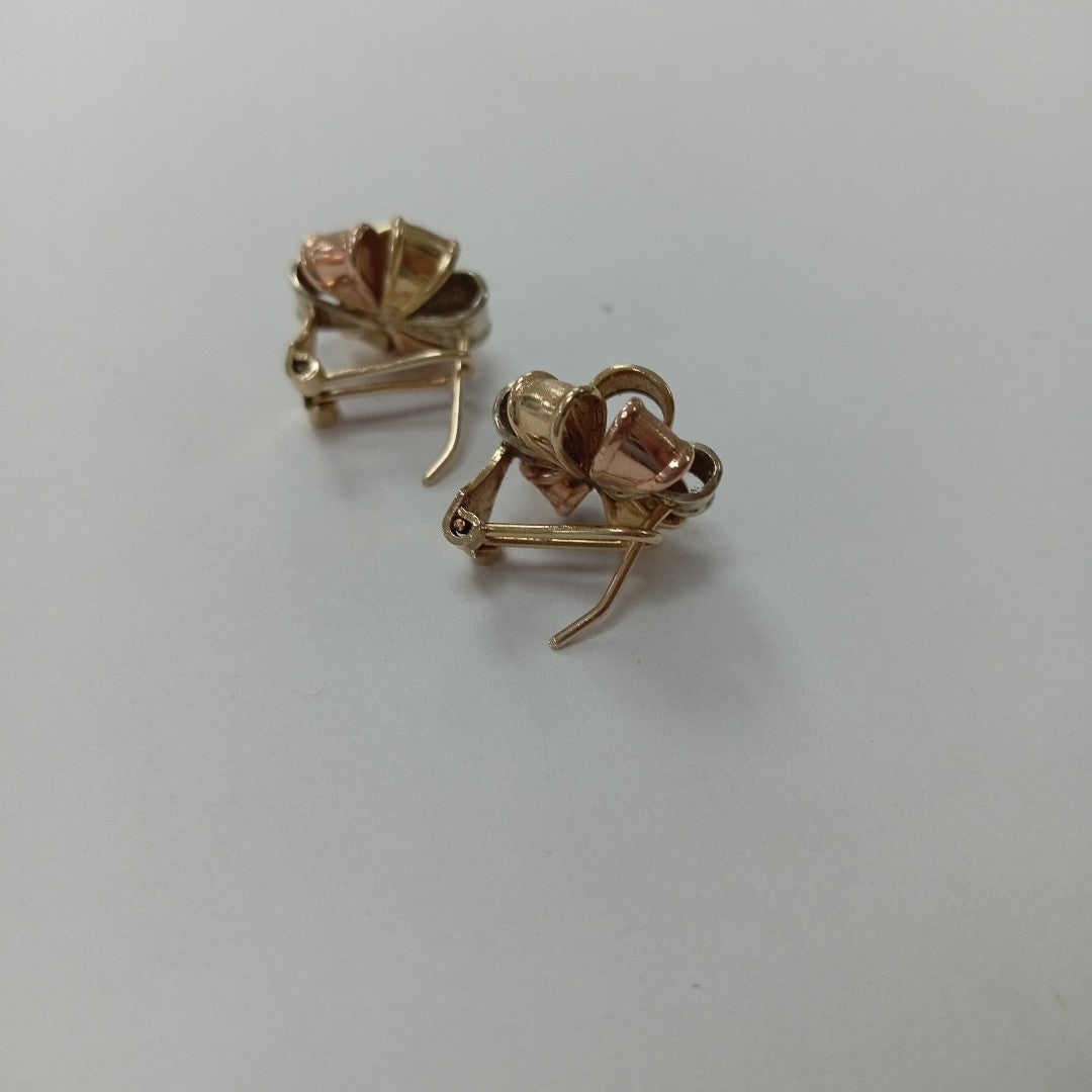 ARETES PAR ORO 10 K 2.9 GRMS (SEMINUEVO)