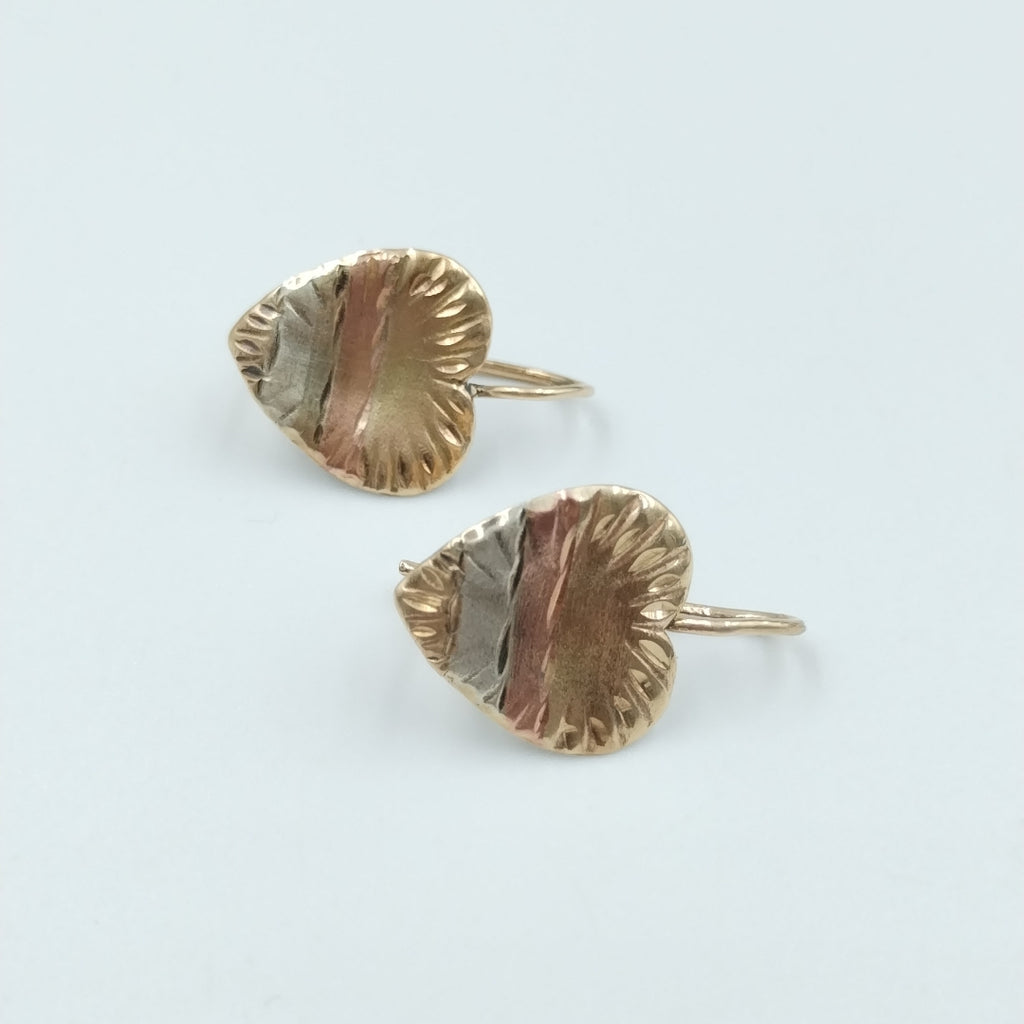 ARETES PAR ORO 10 K 1,90 GRMS (SEMINUEVO)