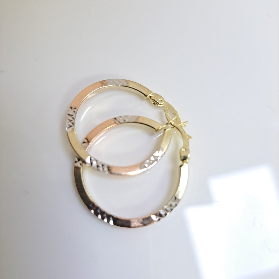 ARRACADAS ORO 14K 2.7 (NUEVO)