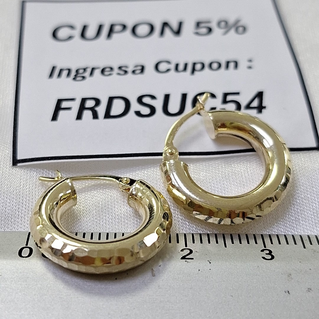 ARRACADAS ORO 14K 2 (NUEVO)