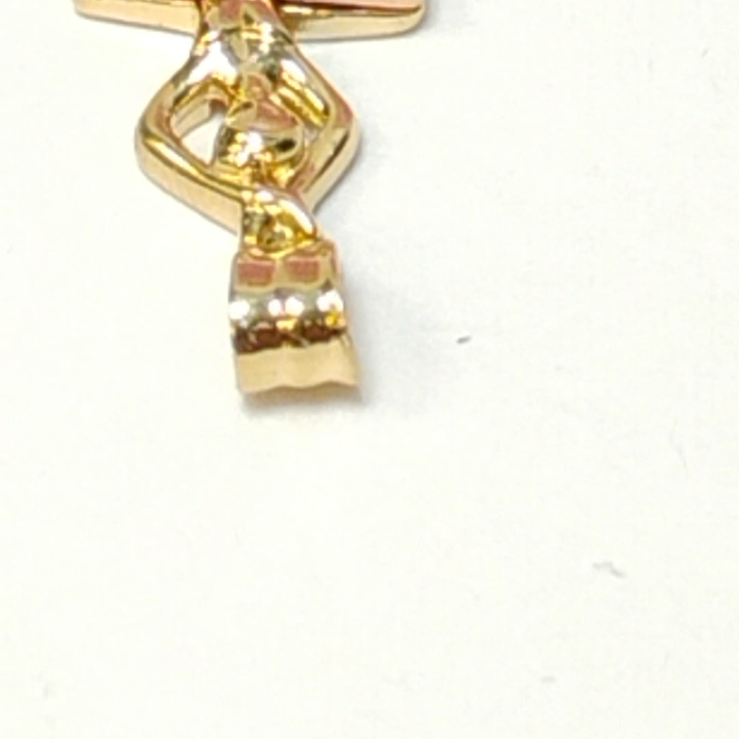 DIJES ORO 14K 1.1 (NUEVO)