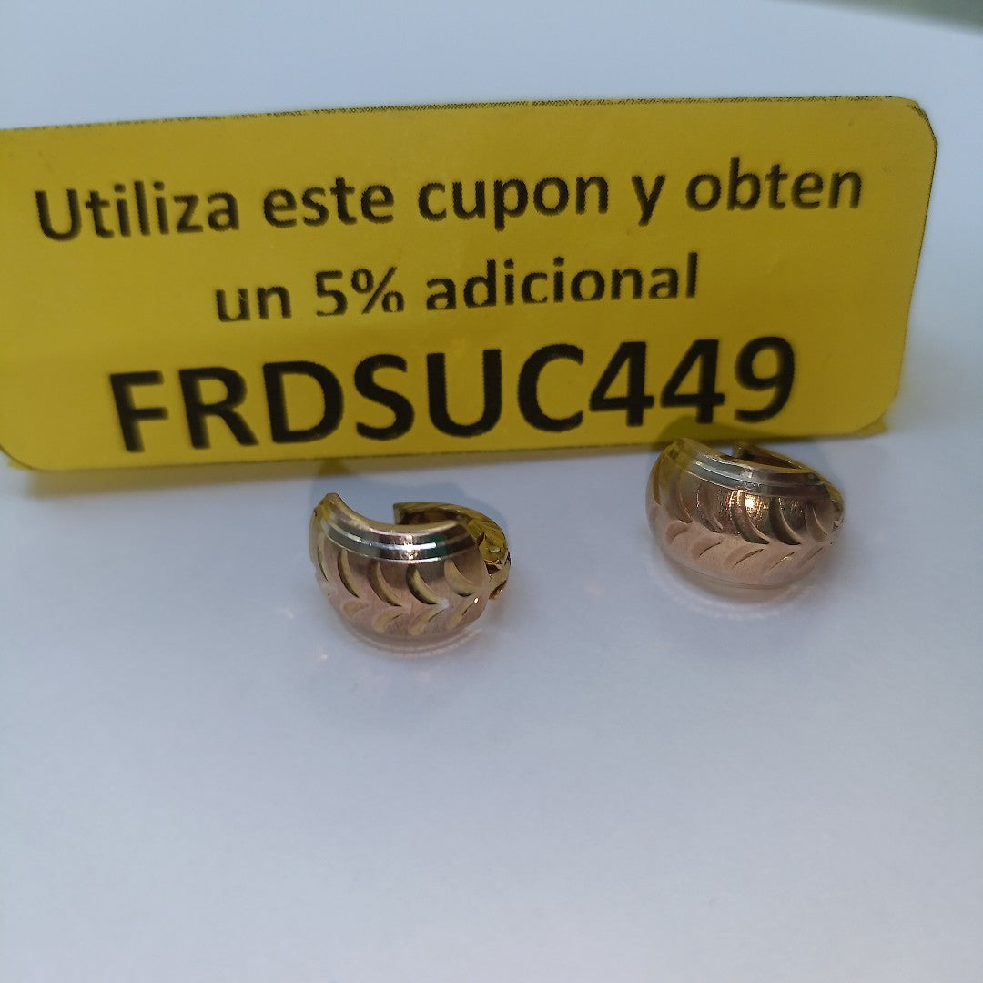 ARETES PAR ORO 10 K 2.7 GRMS (SEMINUEVO)