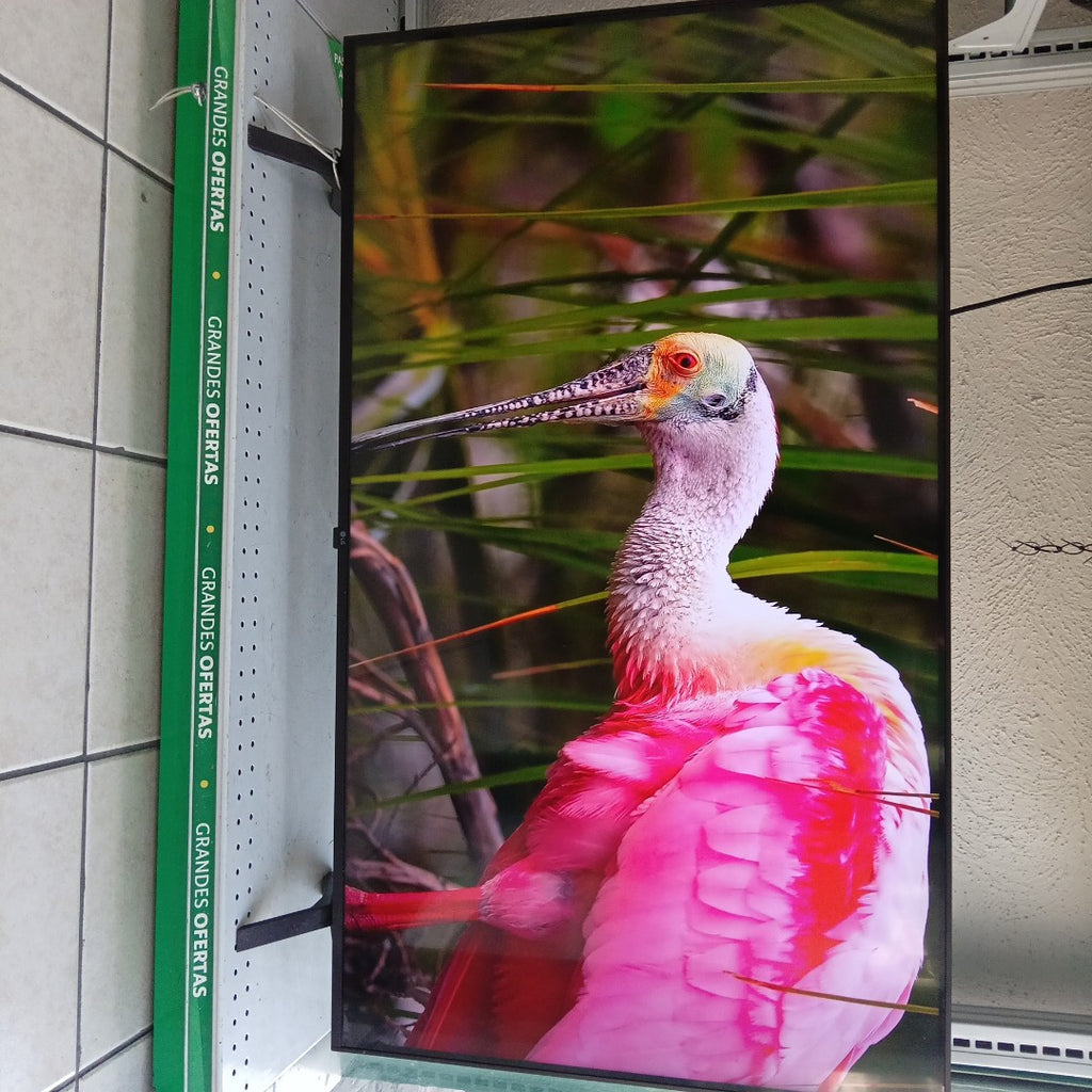 PANTALLA LG 50UQ9050PSC (2023) 50" LED 4K (SEMINUEVO)