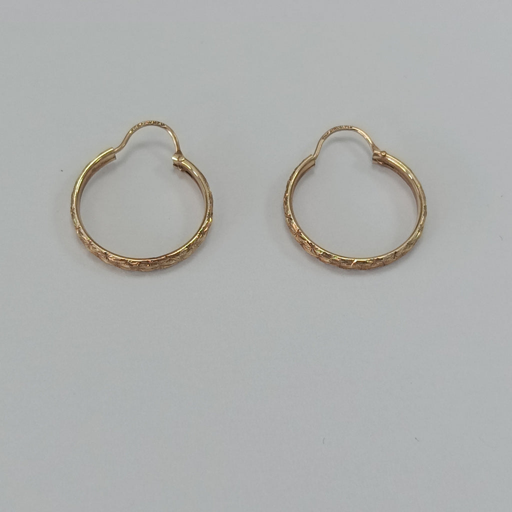 ARETES PAR ORO 10 K 1.4 GRMS (SEMINUEVO)