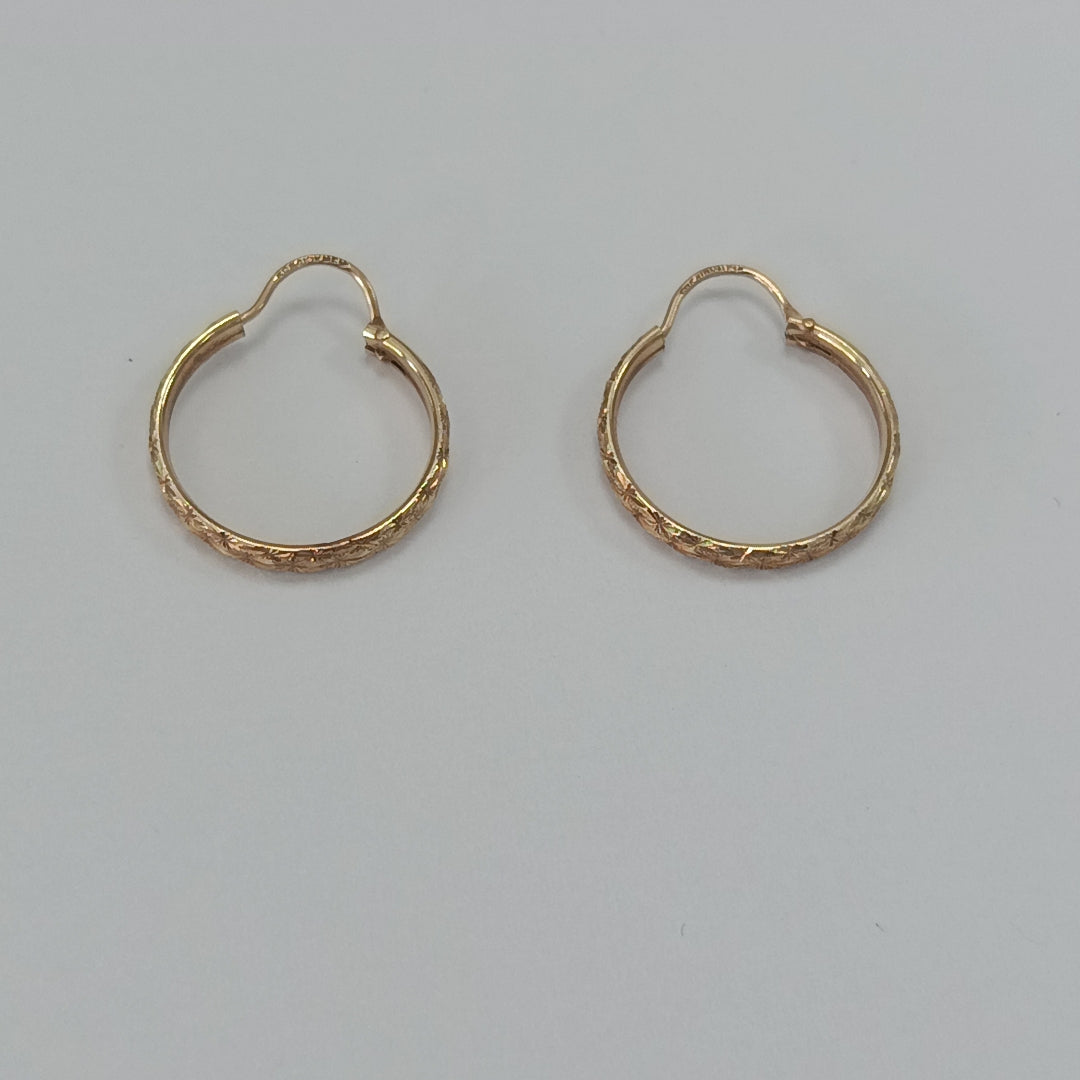 ARETES PAR ORO 10 K 1.4 GRMS (SEMINUEVO)