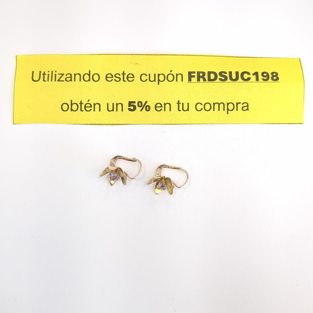 ARETES PAR ORO 10 K 1,60 GRMS (SEMINUEVO)