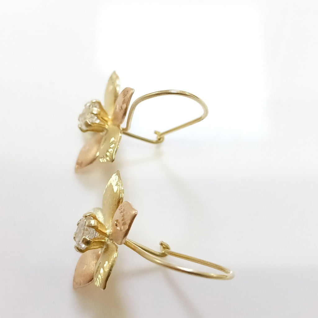 ARETES PAR ORO, ORO COMBINADO 10 K 1.7 GRMS (SEMINUEVO)