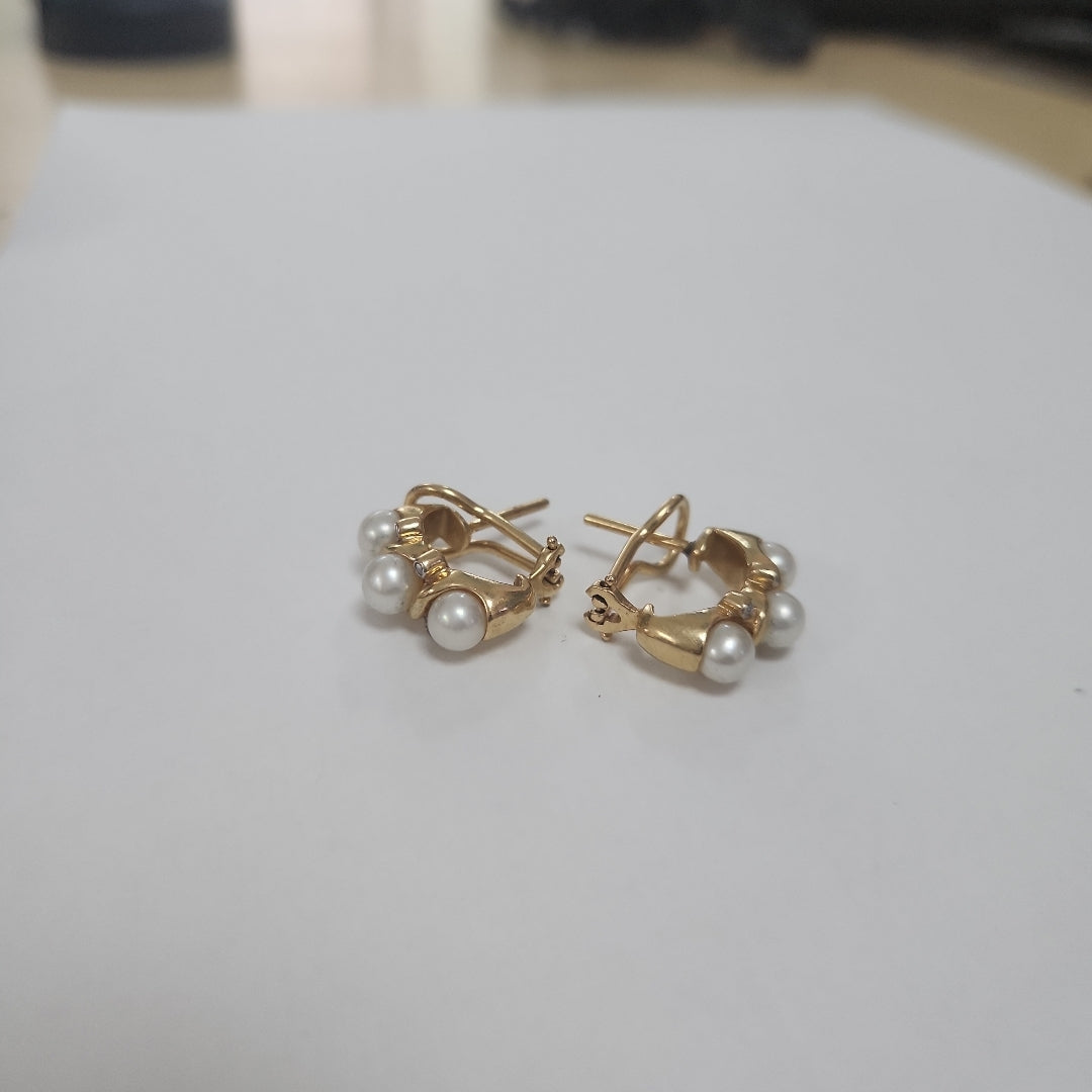 ARETES PAR ORO 14 K 9.8 GRMS (SEMINUEVO)