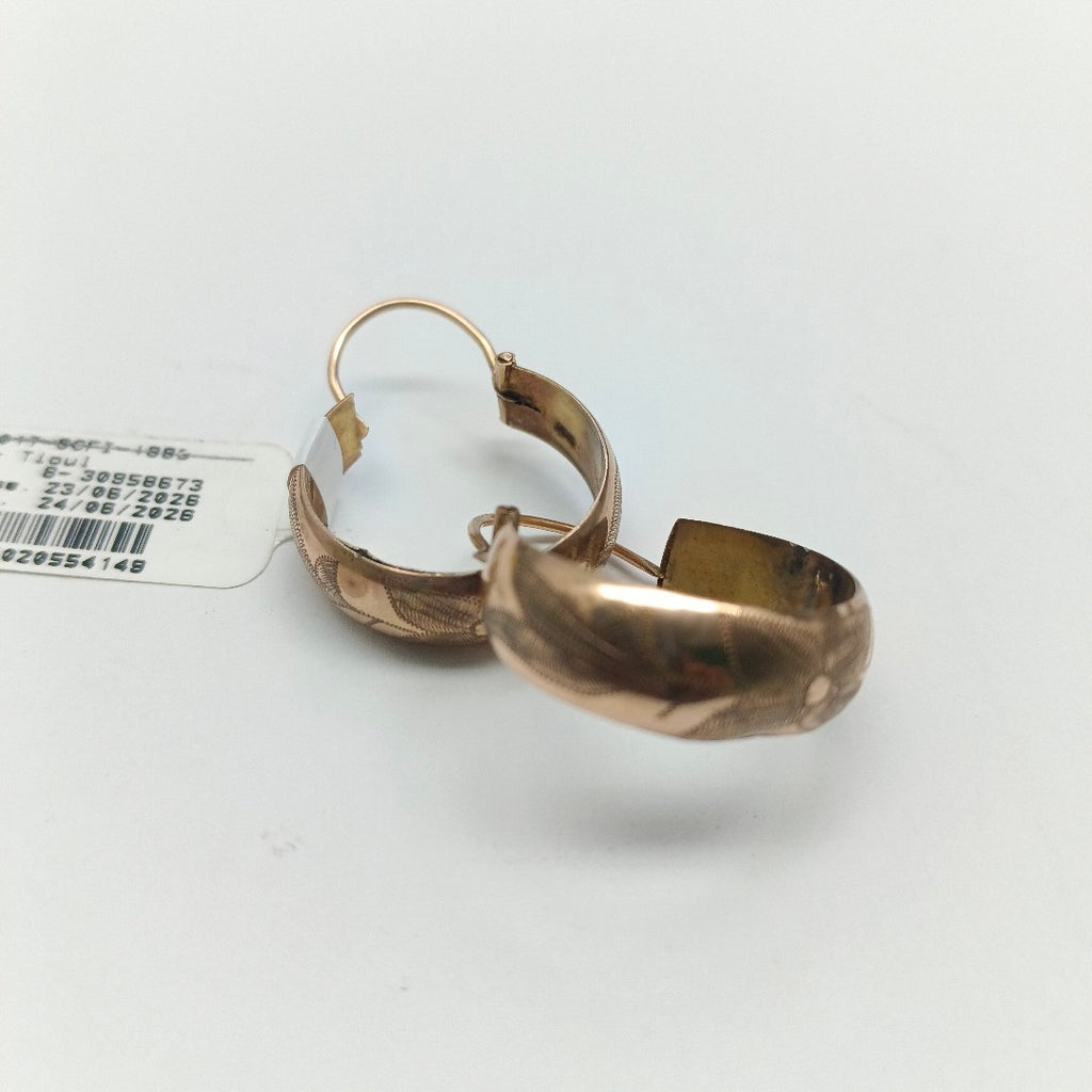 ARRACADAS PAR ORO 10 K 4 GRMS (SEMINUEVO)