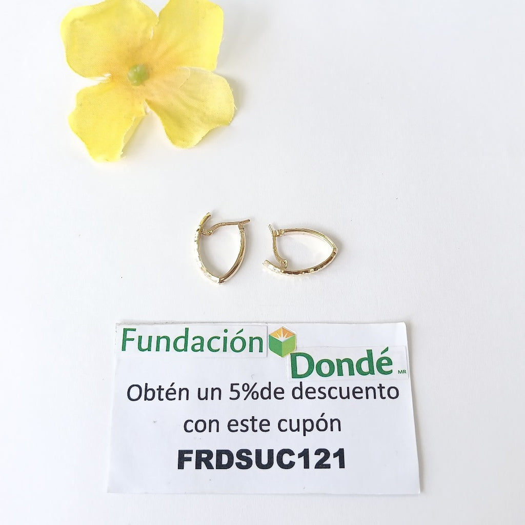 ARRACADAS ORO 10K 1.2 (NUEVO)