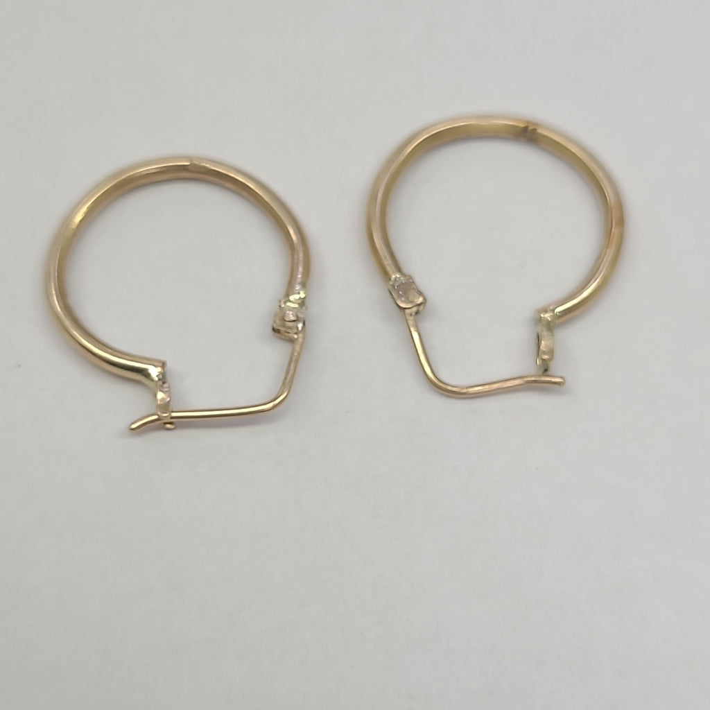 ARRACADAS PAR ORO 10 K 2.7 GRMS (SEMINUEVO)