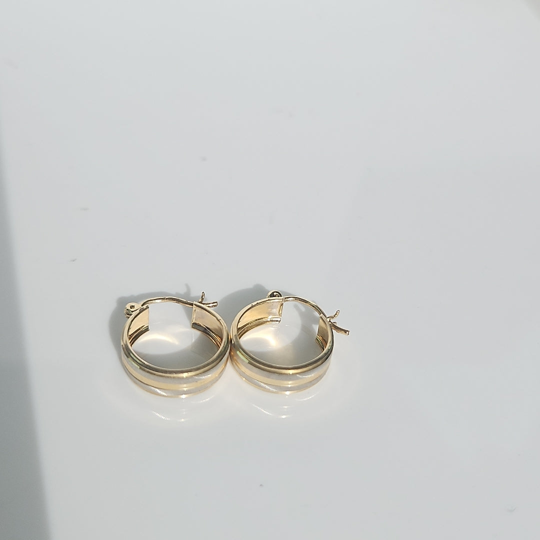 ARETES ARRACADAS ORO 10K 1.6 GR (NUEVO)