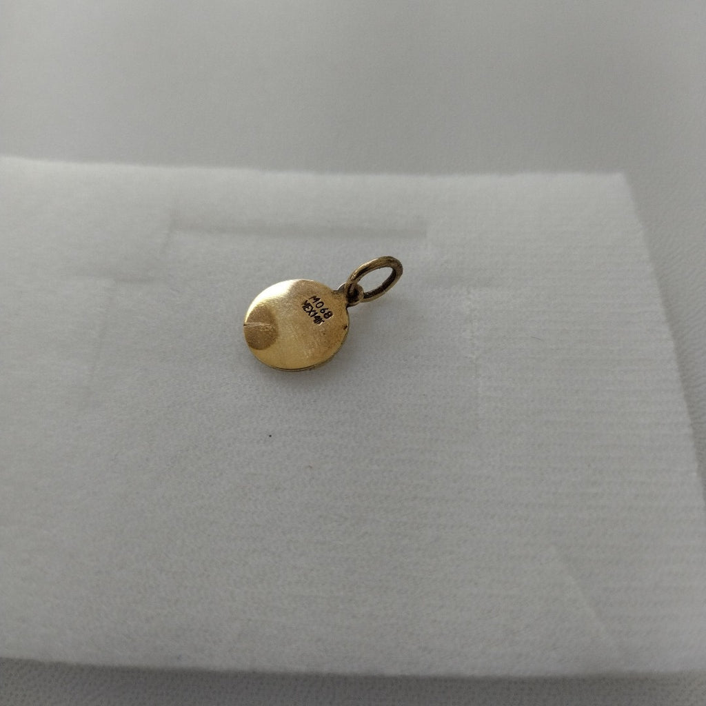 DIJE ORO 14 K 1.4 GRMS (SEMINUEVO)