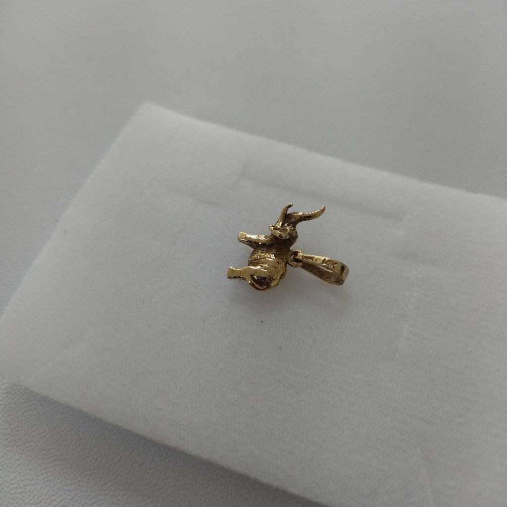 DIJE ORO 14 K 2.4 GRMS (SEMINUEVO)