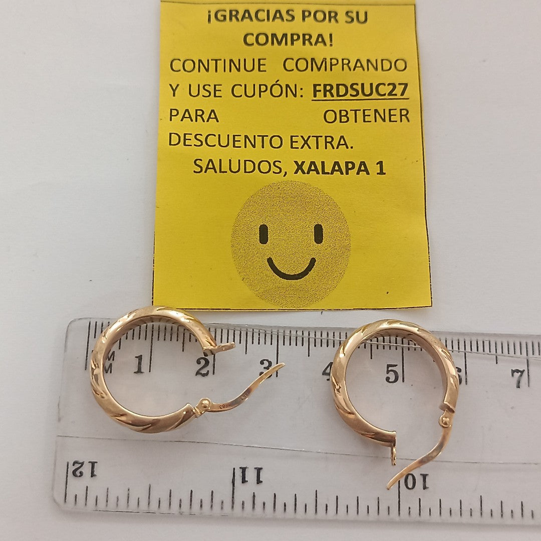 ARRACADAS PAR ORO 14 K 2.1 GRMS (SEMINUEVO)