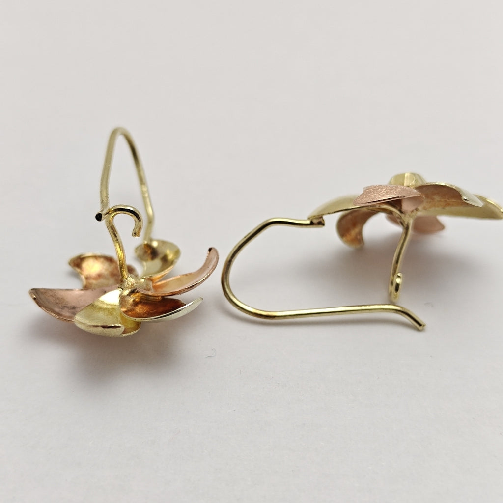 ARETES PAR ORO COMBINADO 10 K 3,70 GRMS (SEMINUEVO)