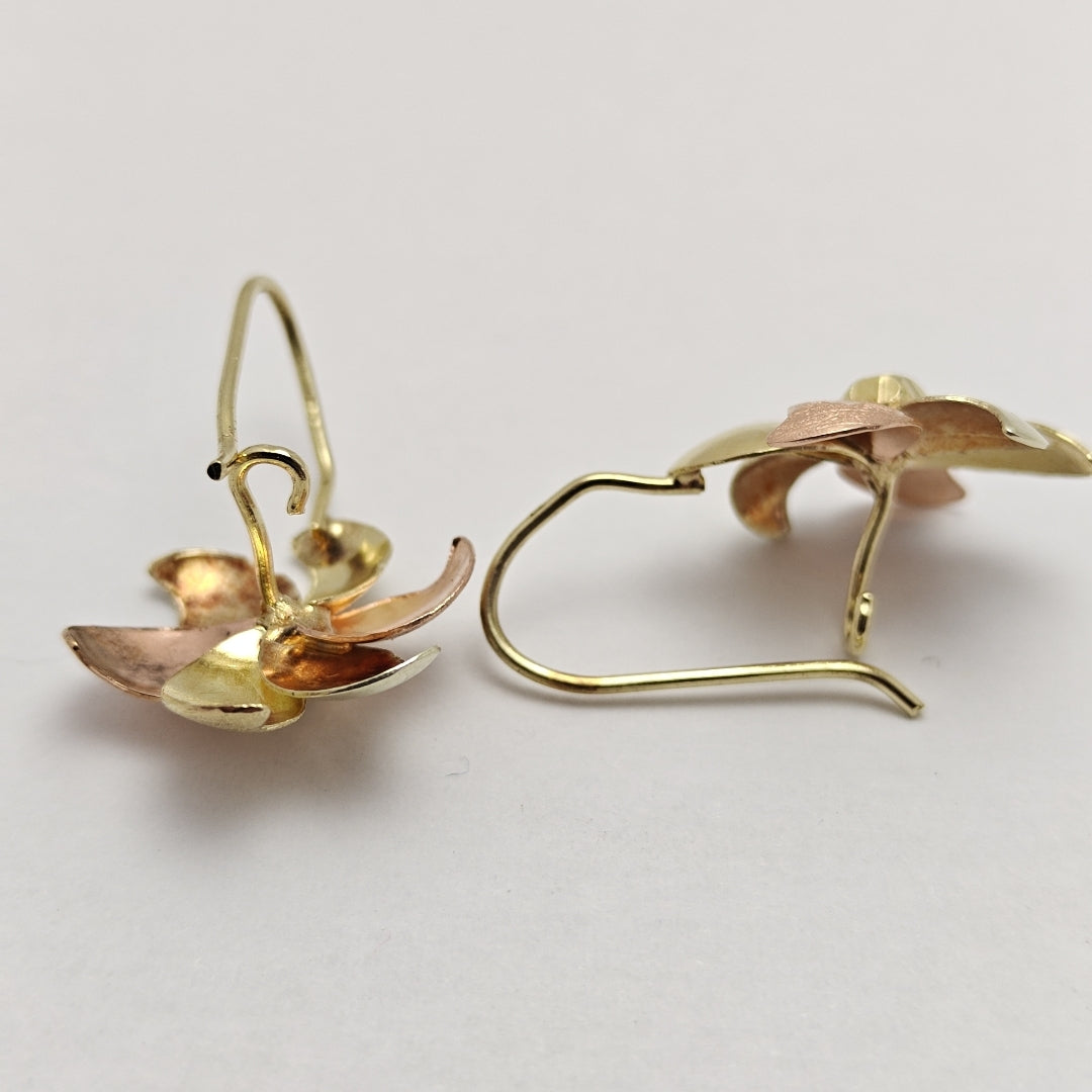 ARETES PAR ORO COMBINADO 10 K 3,70 GRMS (SEMINUEVO)