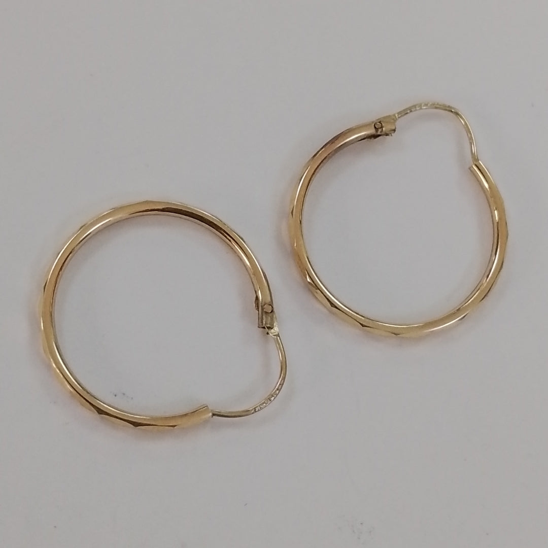 ARRACADAS PAR ORO 10 K 1,30 GRMS (SEMINUEVO)