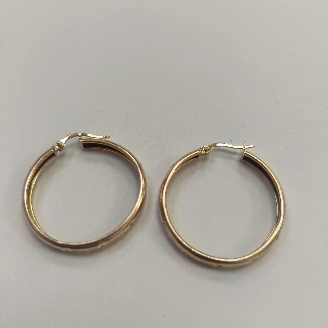 ARETES PAR ORO 10 K 3,20 GRMS (SEMINUEVO)