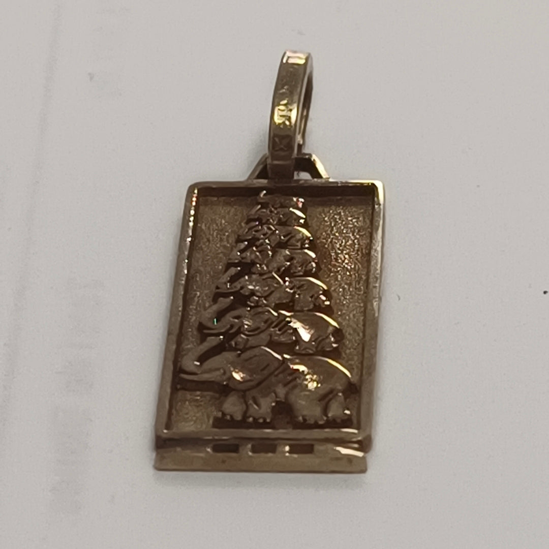 DIJE ORO 14 K 2.7 GRMS (SEMINUEVO)