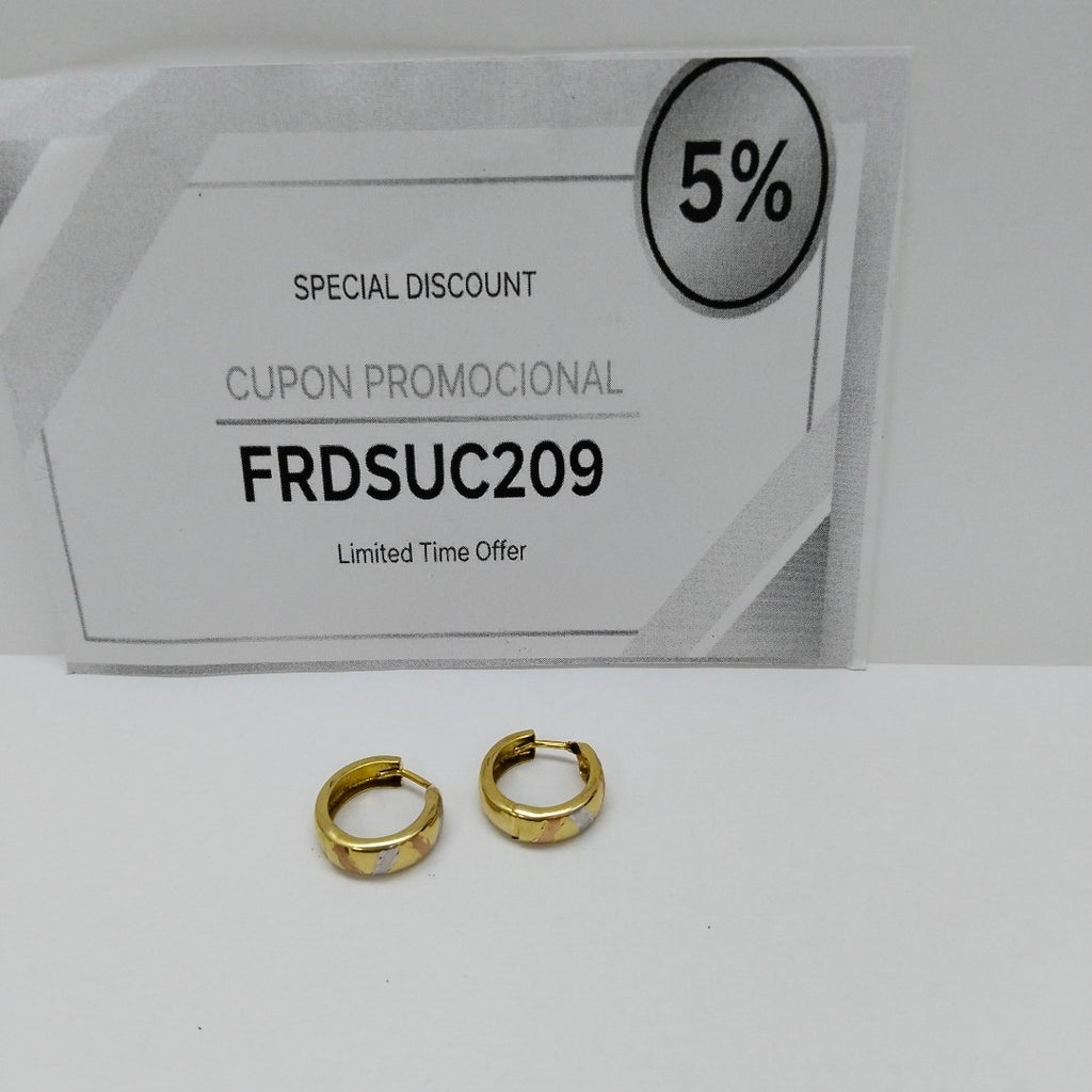 ARRACADAS PAR ORO 10 K 1,70 GRMS (SEMINUEVO)