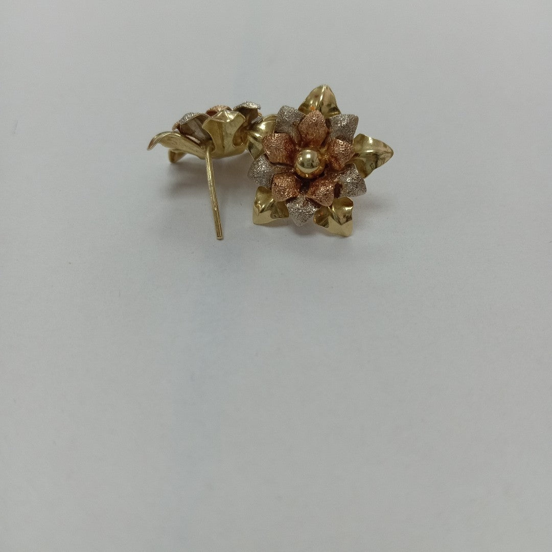 ARETES PAR ORO 14 K 5.9 GRMS (SEMINUEVO)