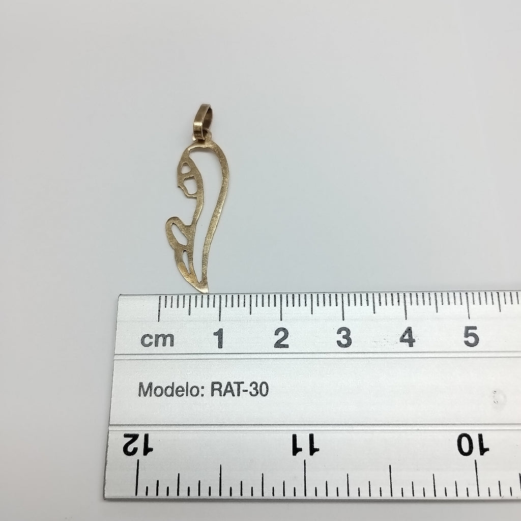 DIJE ORO 10 K 0,80 GRMS (SEMINUEVO)