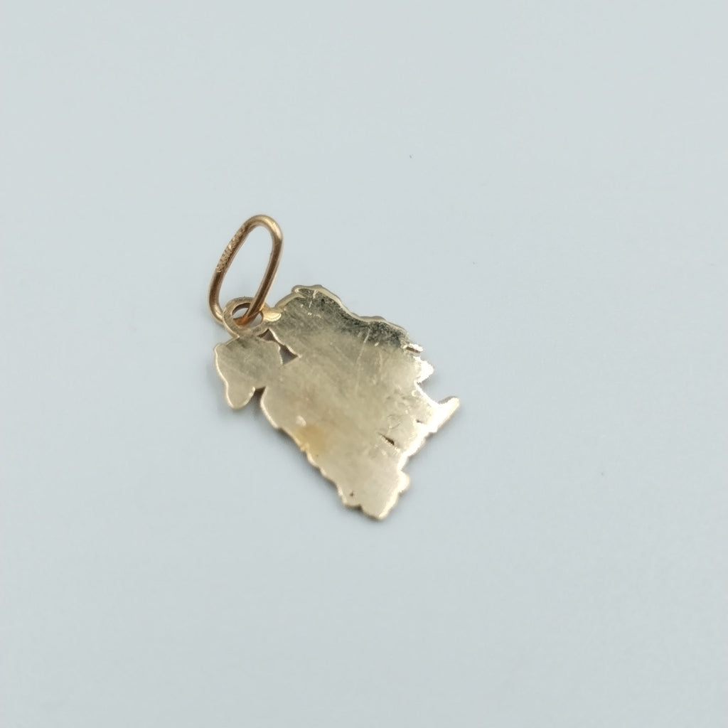DIJE ORO 14 K 1.7 GRMS (SEMINUEVO)
