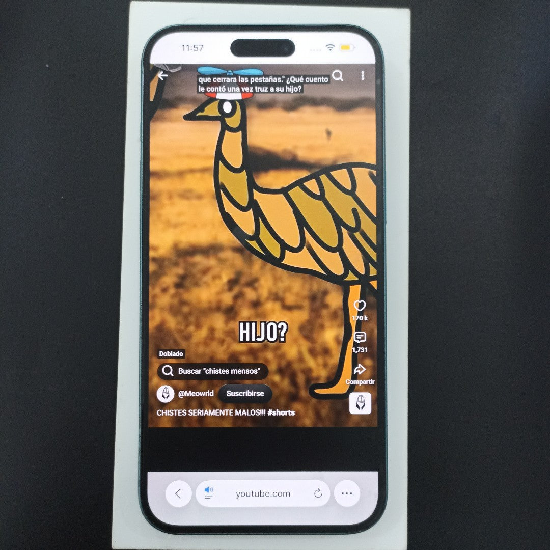 CELULAR APPLE IPHONE 16 PLUS A3289 (2024) 128 GB 8 GB RAM (SEMINUEVO)