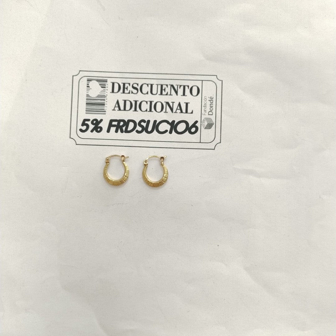 ARRACADAS PAR ORO 10 K 1 GRMS (SEMINUEVO)