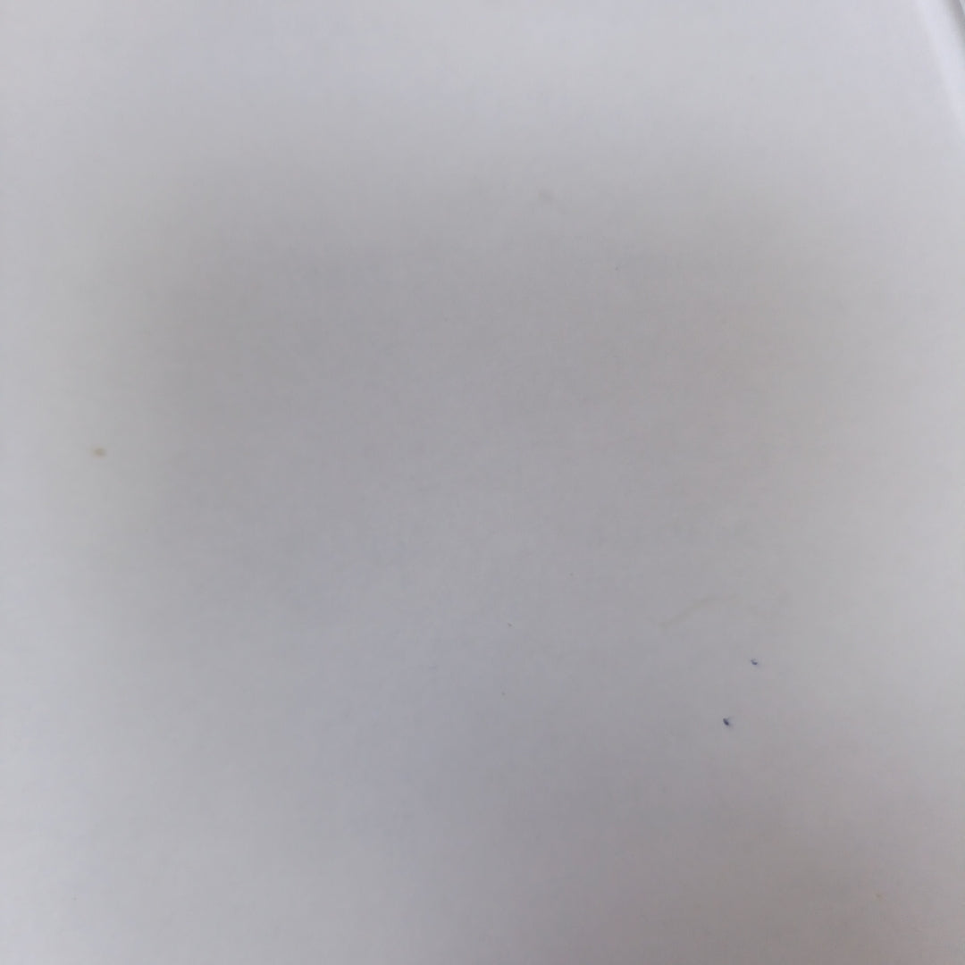 CELULAR HONOR X9B 5G ALI-NX3P 512 GB 8 GB RAM
