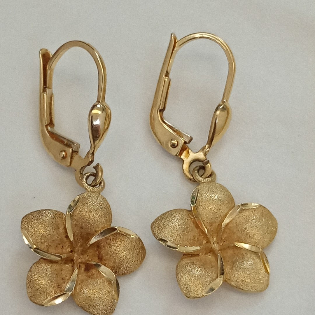 ARETES PAR ORO 14 K 2,90 GRMS (SEMINUEVO)