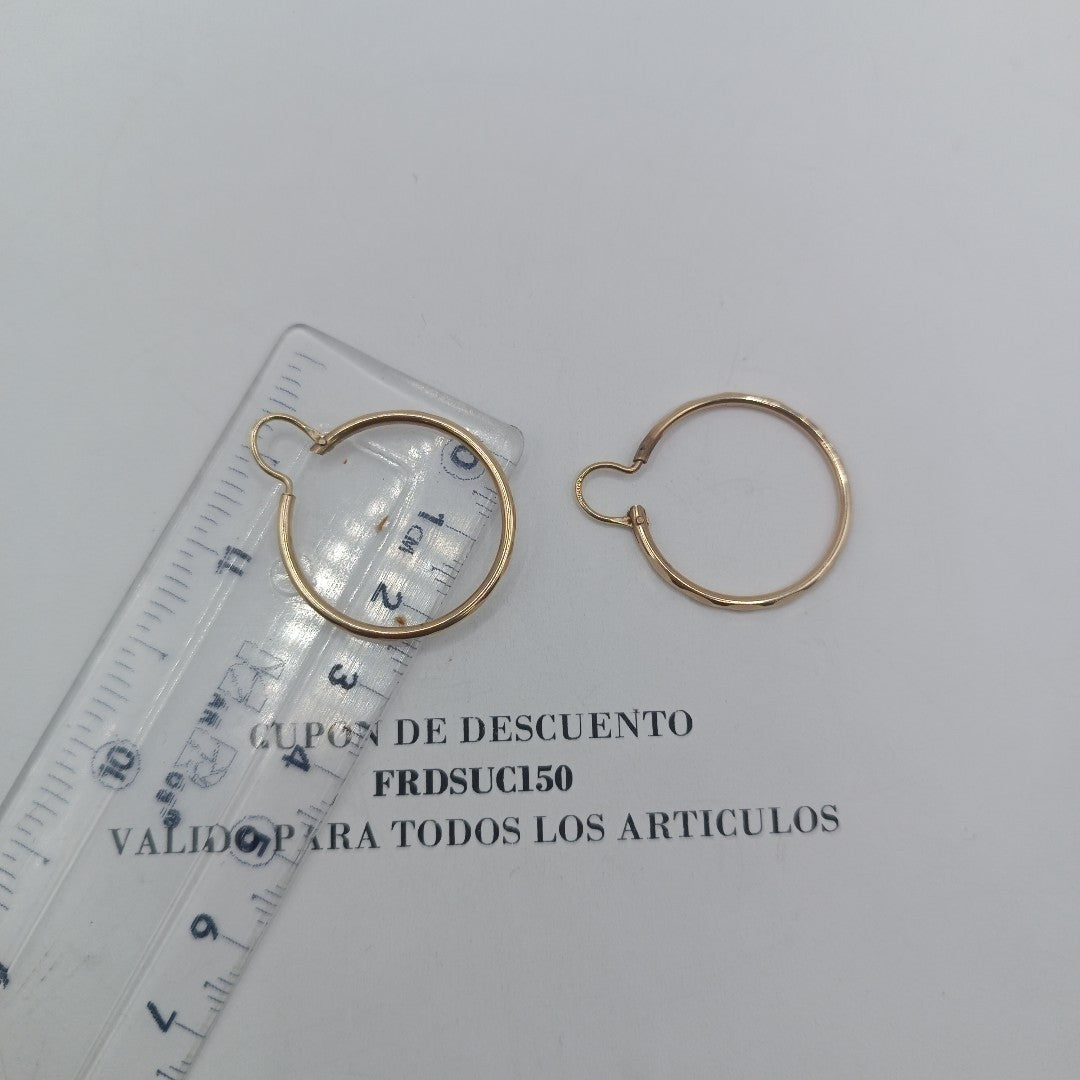 ARRACADAS PAR ORO 10 K 2 GRMS (SEMINUEVO)