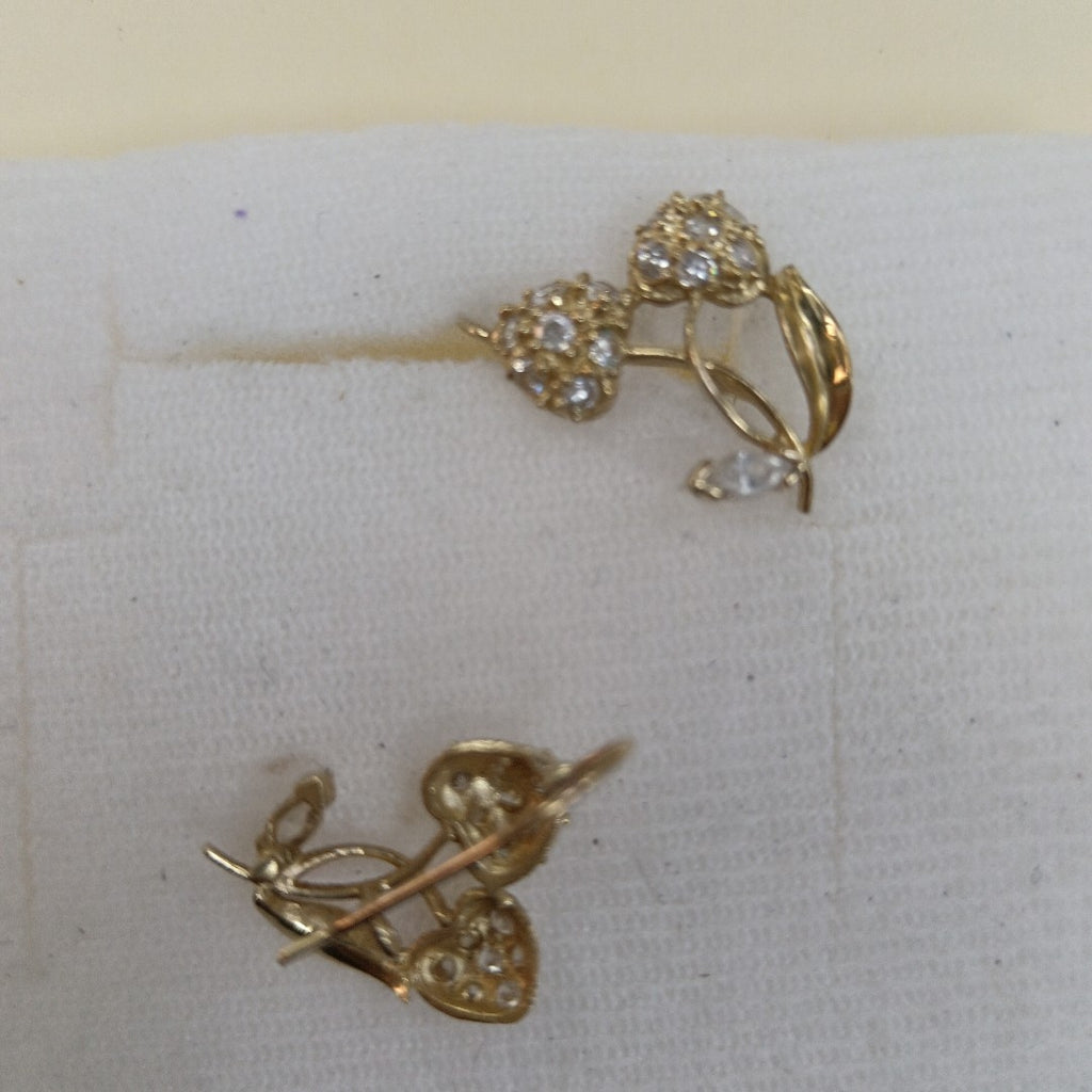 ARETES PAR ORO 10 K 2.1 GRMS (SEMINUEVO)