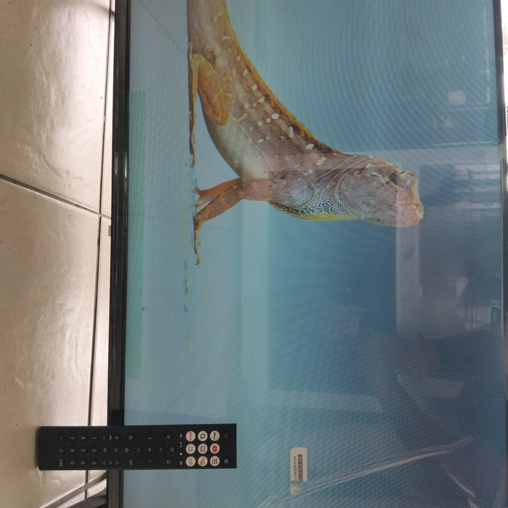 PANTALLA HISENSE 32A4NV (2025) 32" LED HD (SEMINUEVO)