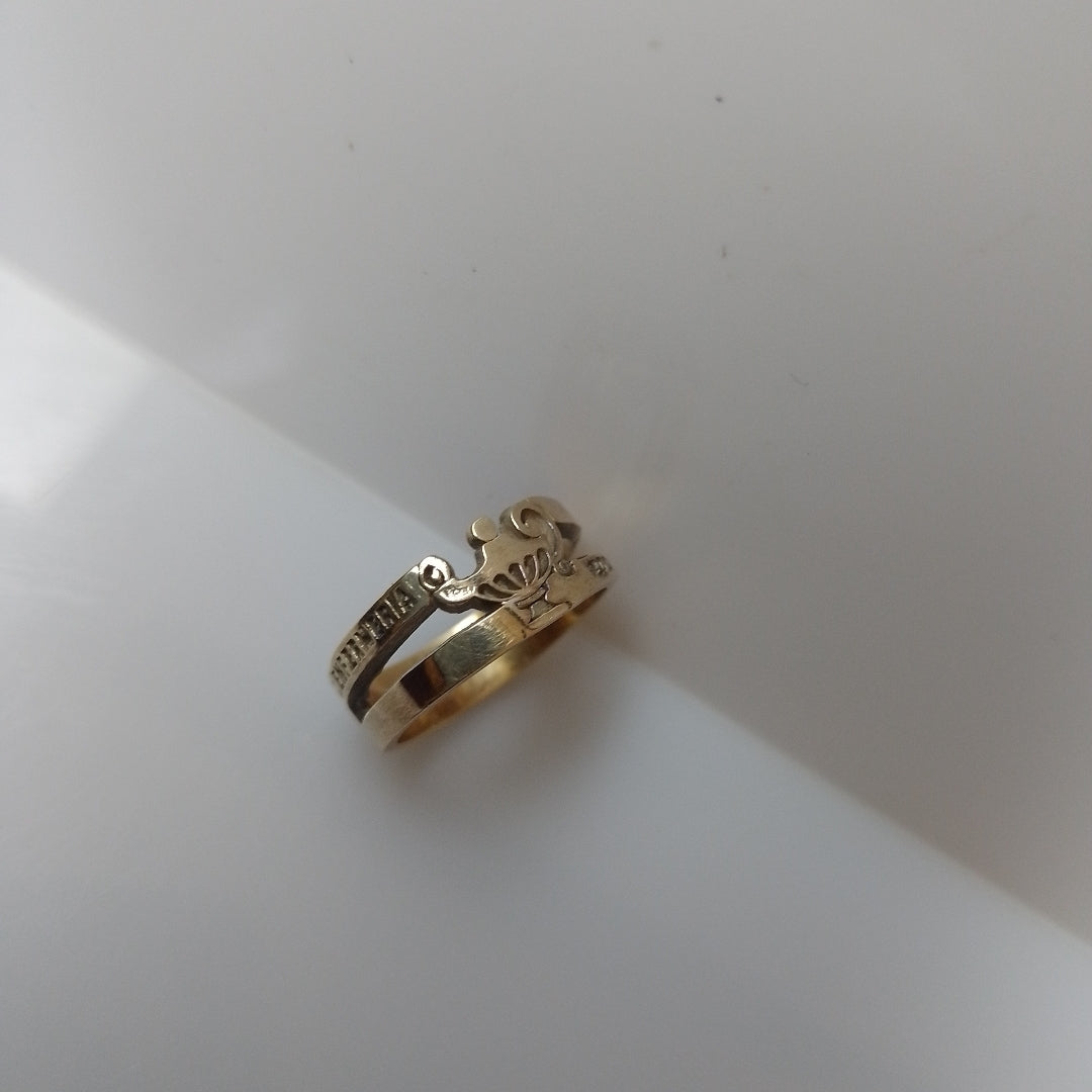 ANILLO DE GRADUACIÓN ORO 14 K 5 GRMS (SEMINUEVO)