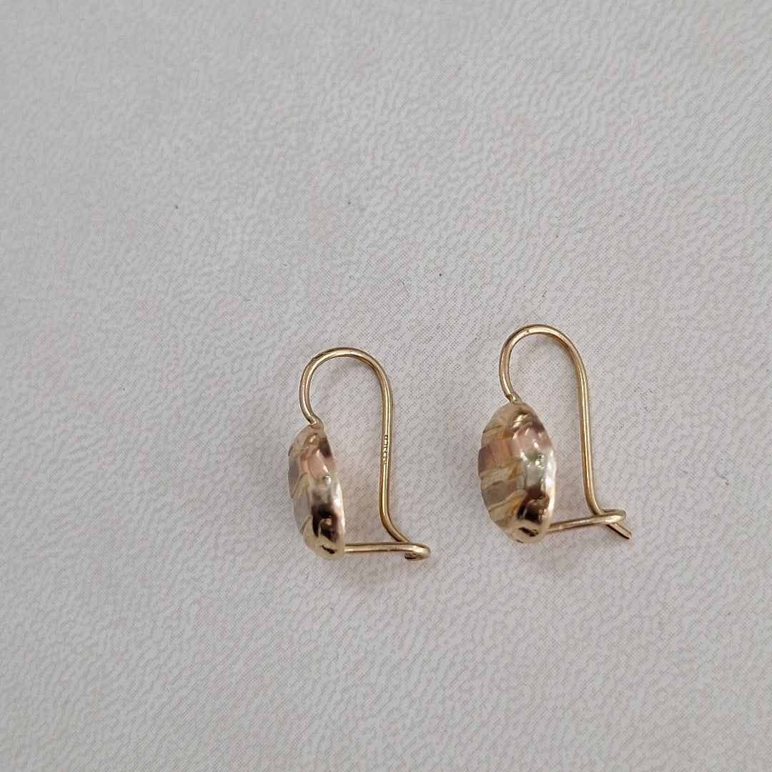 ARETES PAR ORO 8 K 1.1 GRMS (SEMINUEVO)