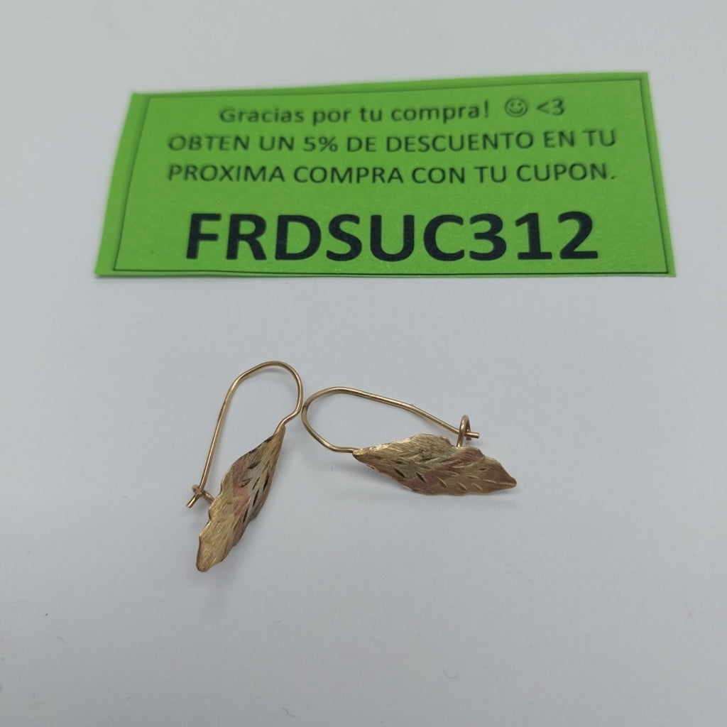 ARETES PAR ORO 10 K 0.8 GRMS (SEMINUEVO)