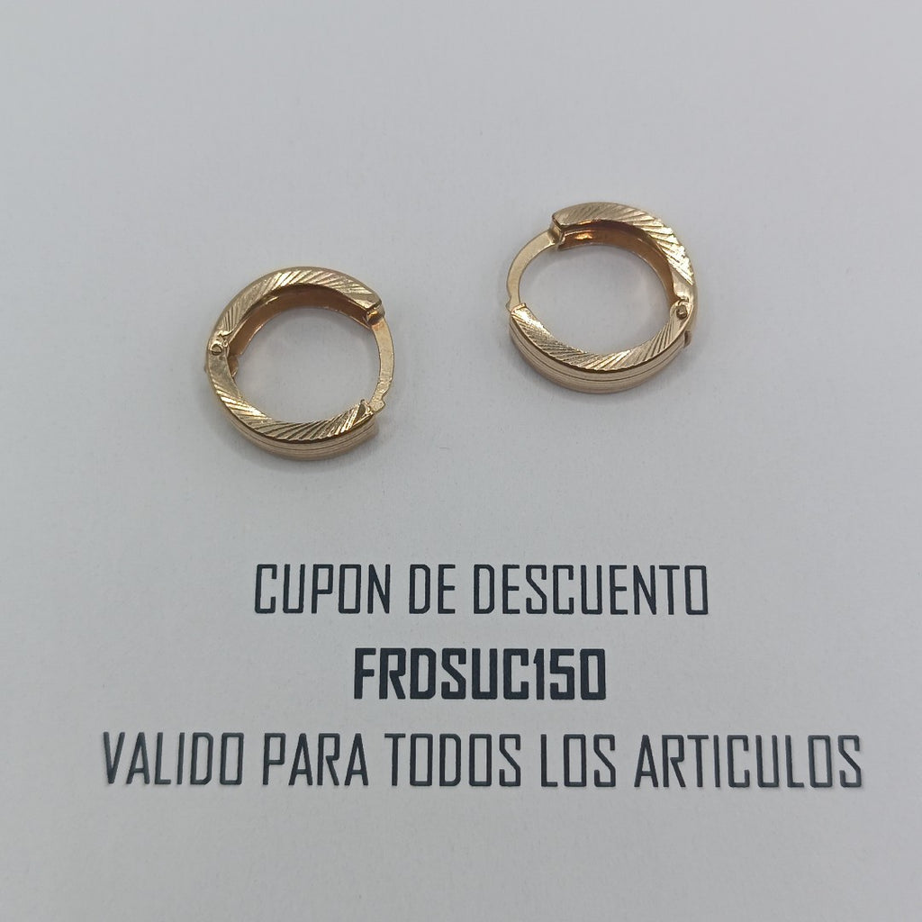 ARETES PAR ORO 10 K 1.8 GRMS (SEMINUEVO)