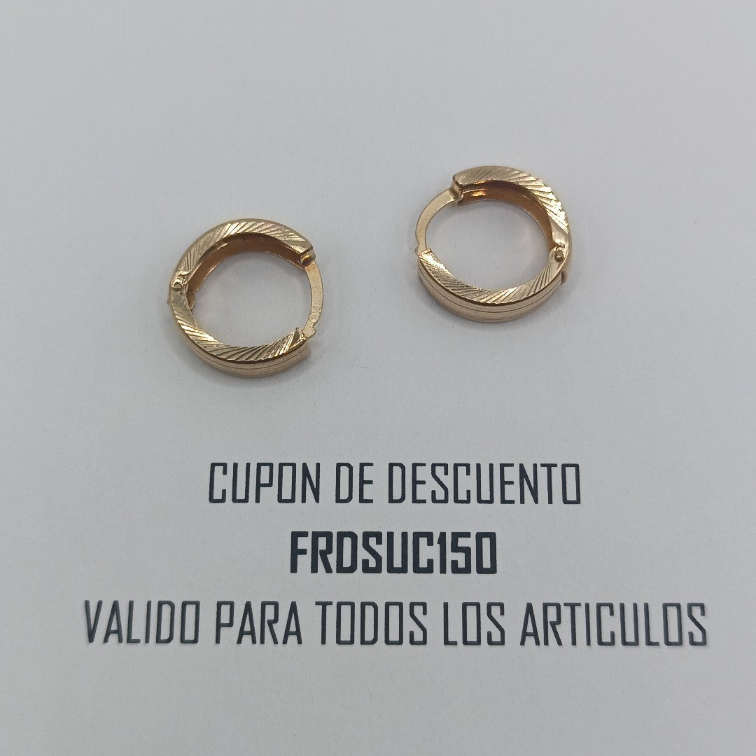 ARETES PAR ORO 10 K 1.8 GRMS (SEMINUEVO)
