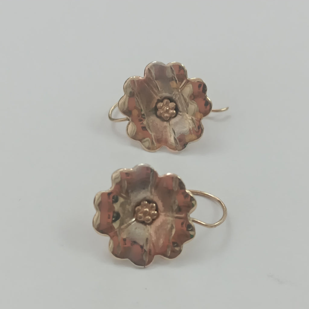 ARETES PAR ORO 10 K 1.2 GRMS (SEMINUEVO)