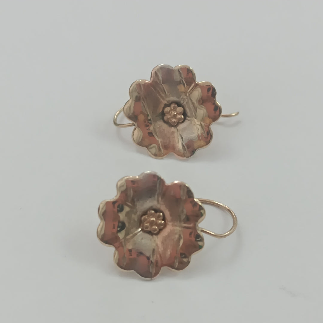 ARETES PAR ORO 10 K 1.2 GRMS (SEMINUEVO)