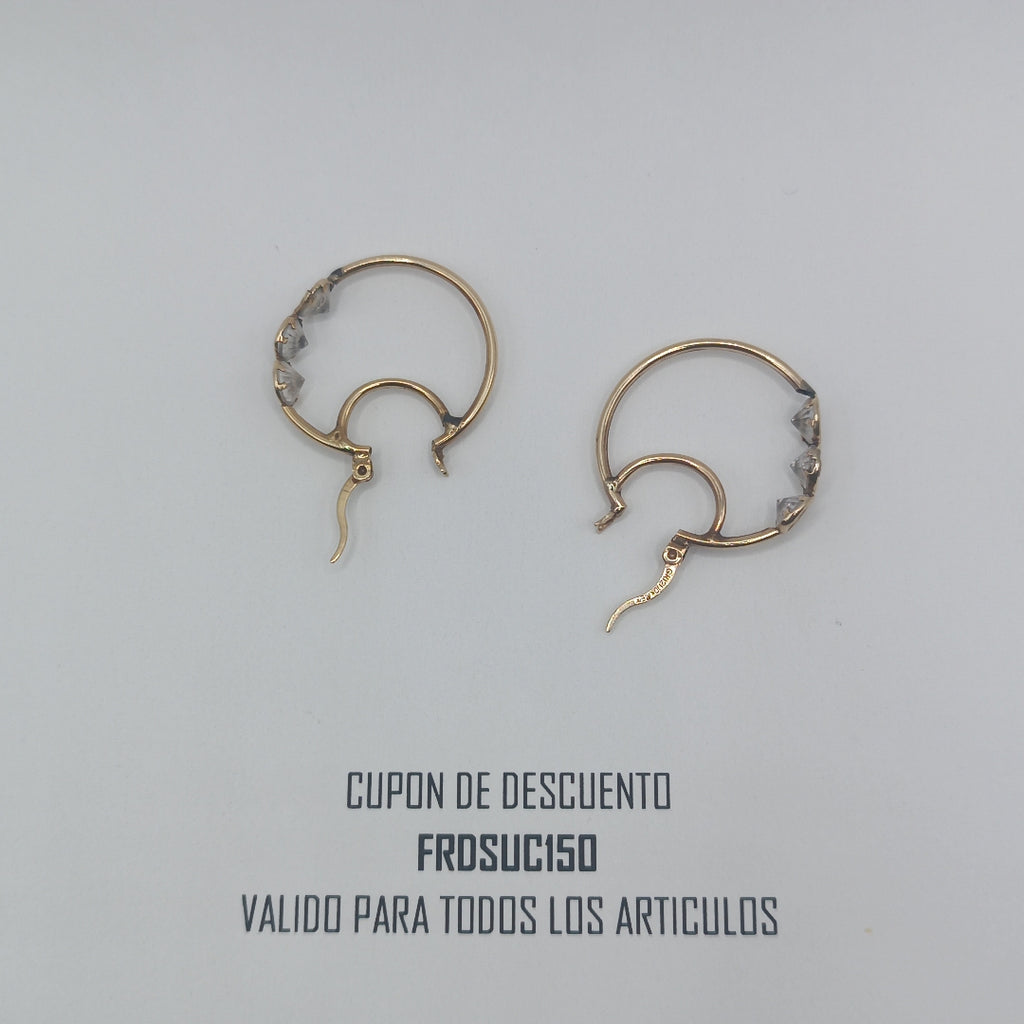 ARETES PAR ORO 10 K 2.9 GRMS (SEMINUEVO)